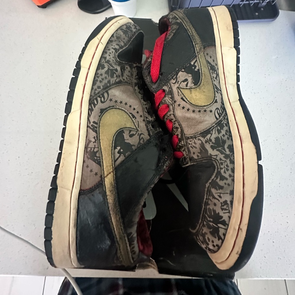Nike dunk sbtg